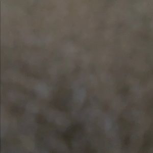 Meet your Posher, Sean